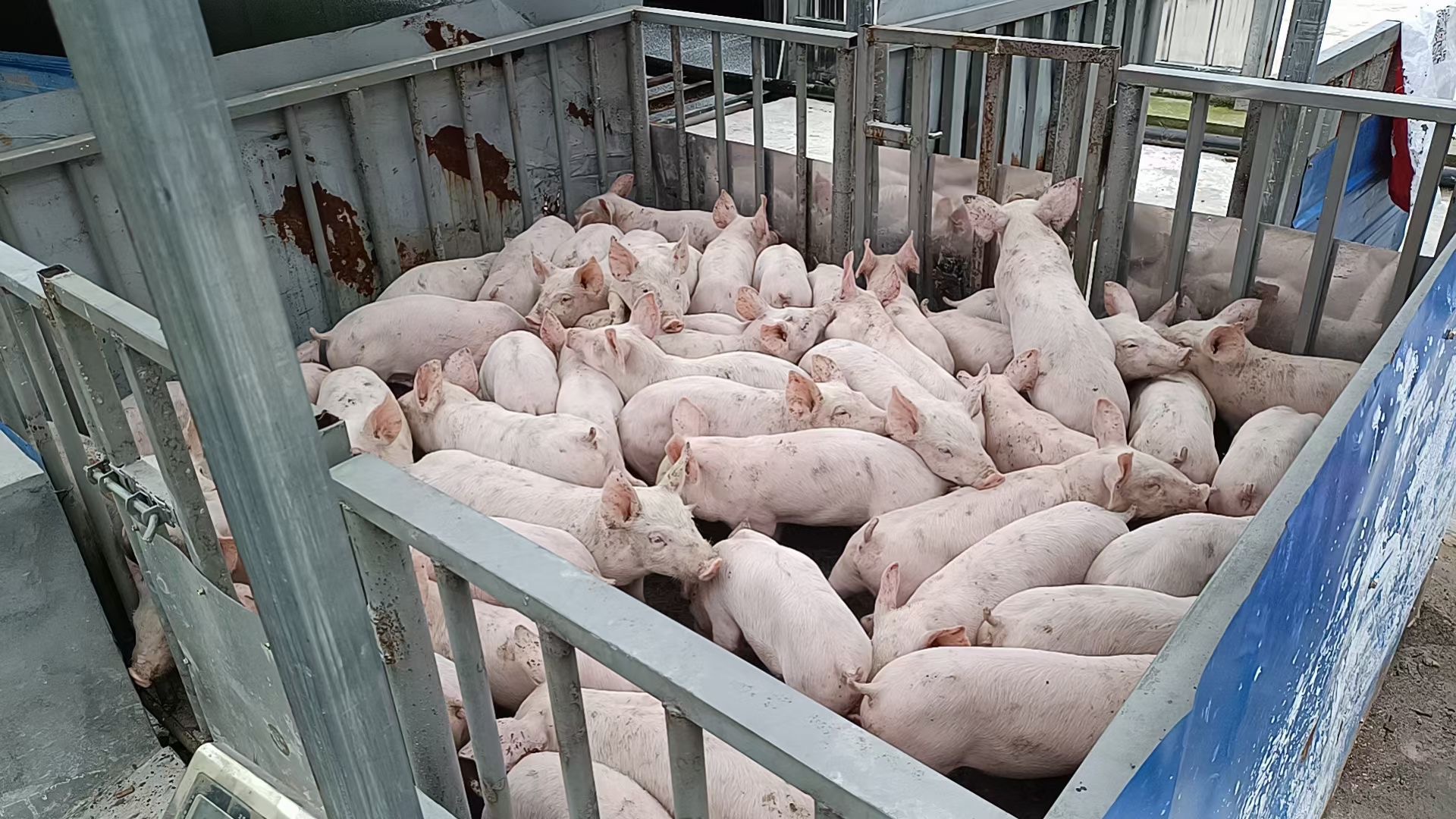 1686727040129435.jpg 微信圖片_20230602091230.jpg